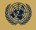 United Nations Security Council/Vijeće sigurnosti UN SAD
