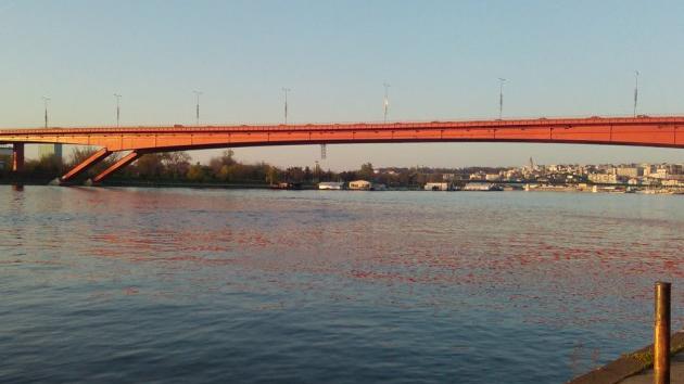 most Gazela u Beogradu