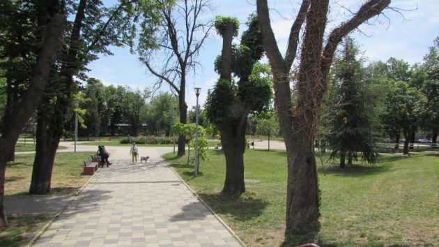 Pančićev park Dorćol Beograd