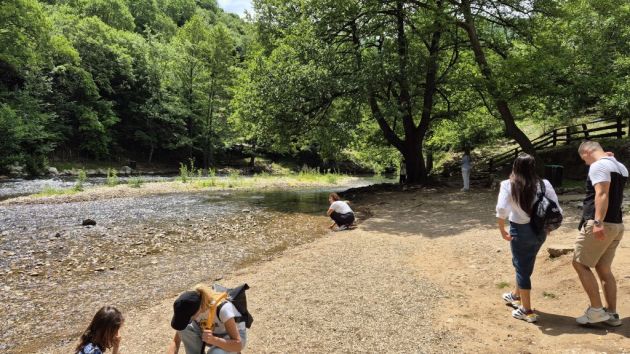 Župan plaža Sokobanja